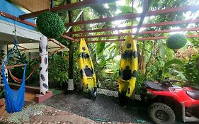 Wildlife Art House