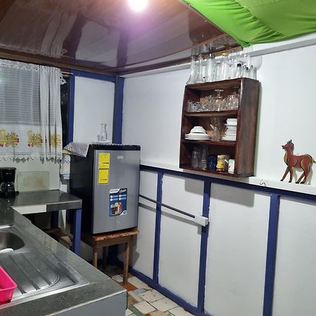 Hotel Wildlife Art House Tortuguero Exterior foto