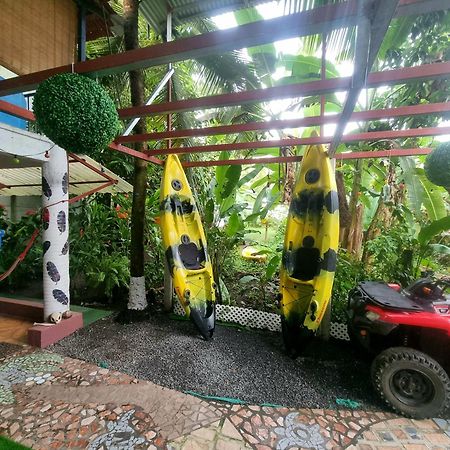 Hotel Wildlife Art House Tortuguero Exterior foto
