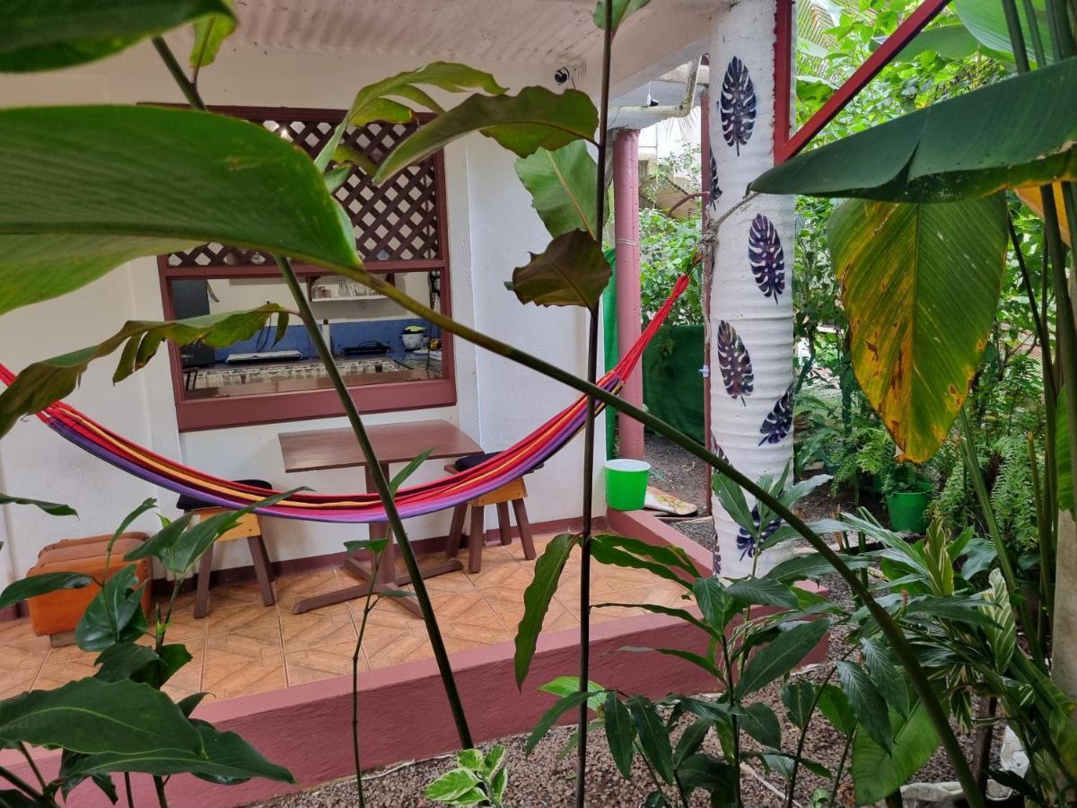 Hotel Wildlife Art House Tortuguero Exterior foto