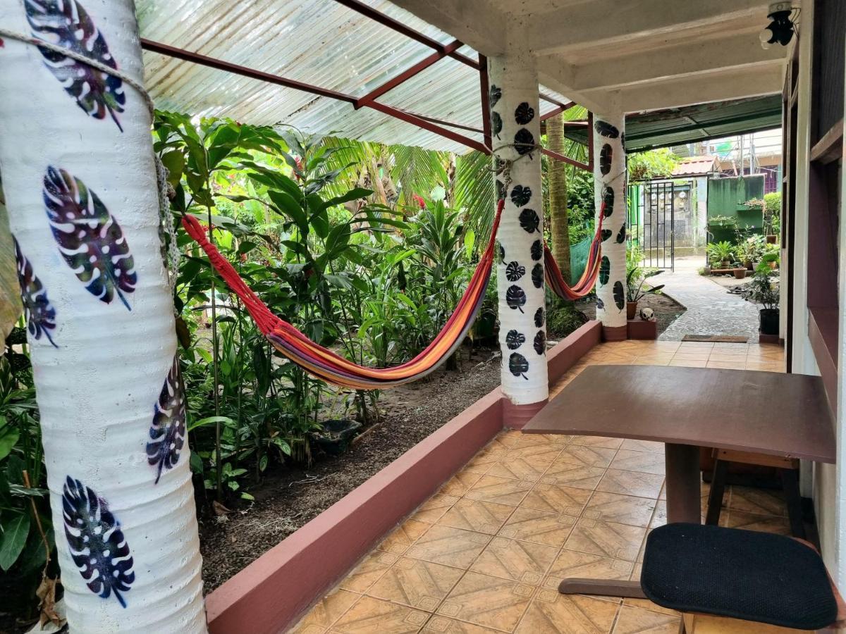 Hotel Wildlife Art House Tortuguero Exterior foto