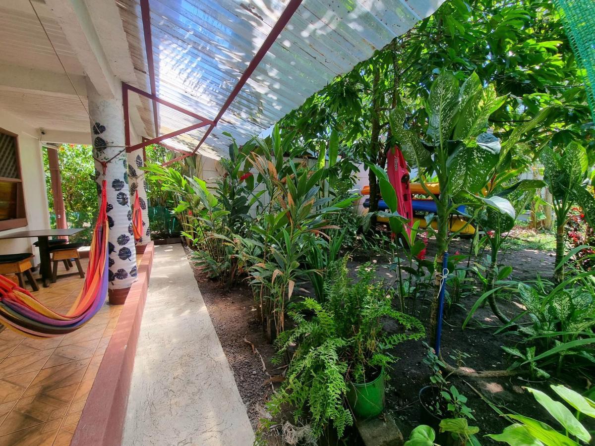 Hotel Wildlife Art House Tortuguero Exterior foto