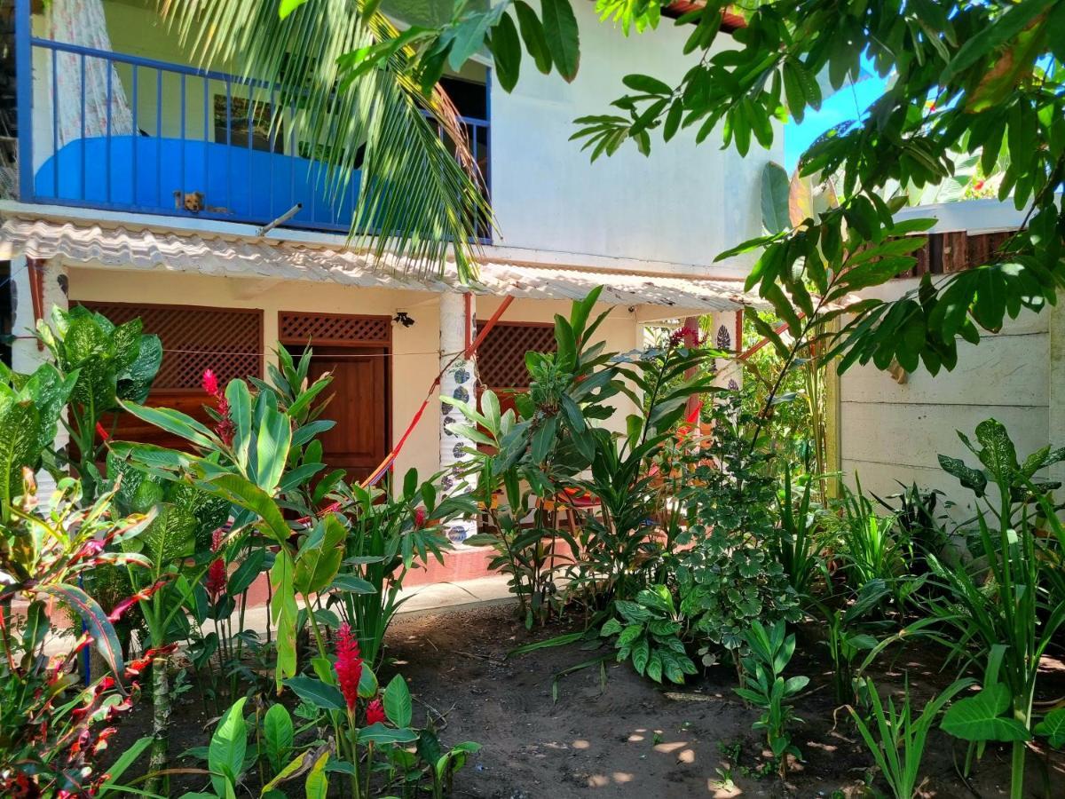 Hotel Wildlife Art House Tortuguero Exterior foto