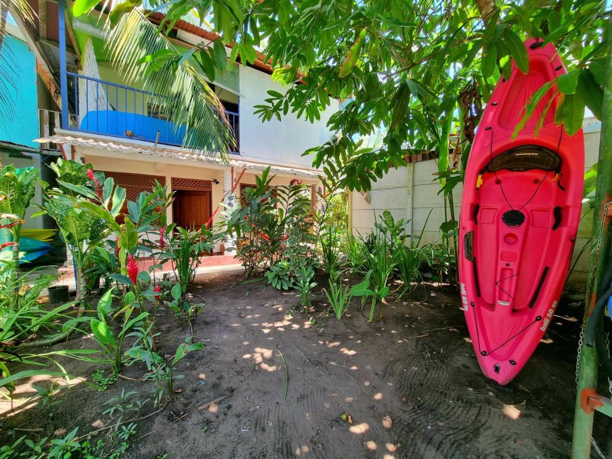 Hotel Wildlife Art House Tortuguero Exterior foto