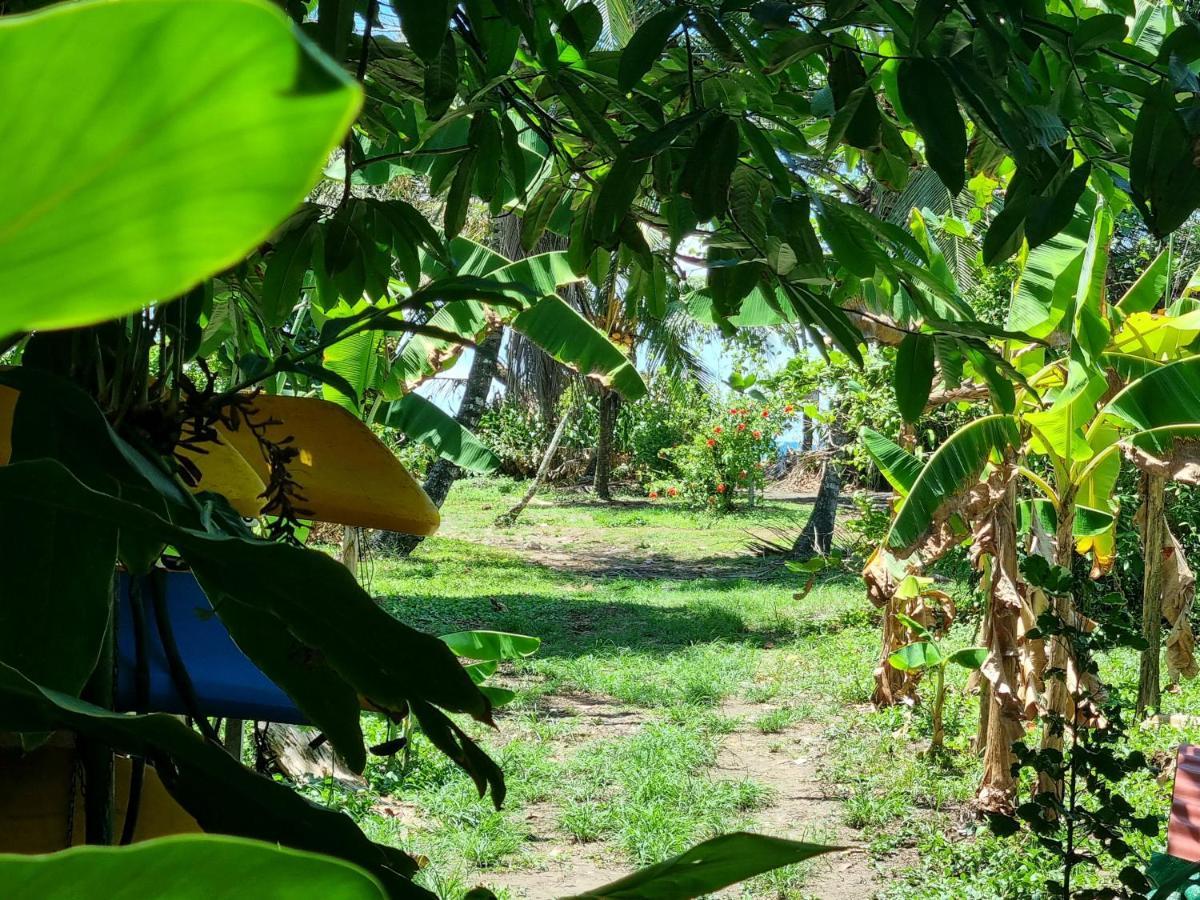 Hotel Wildlife Art House Tortuguero Exterior foto