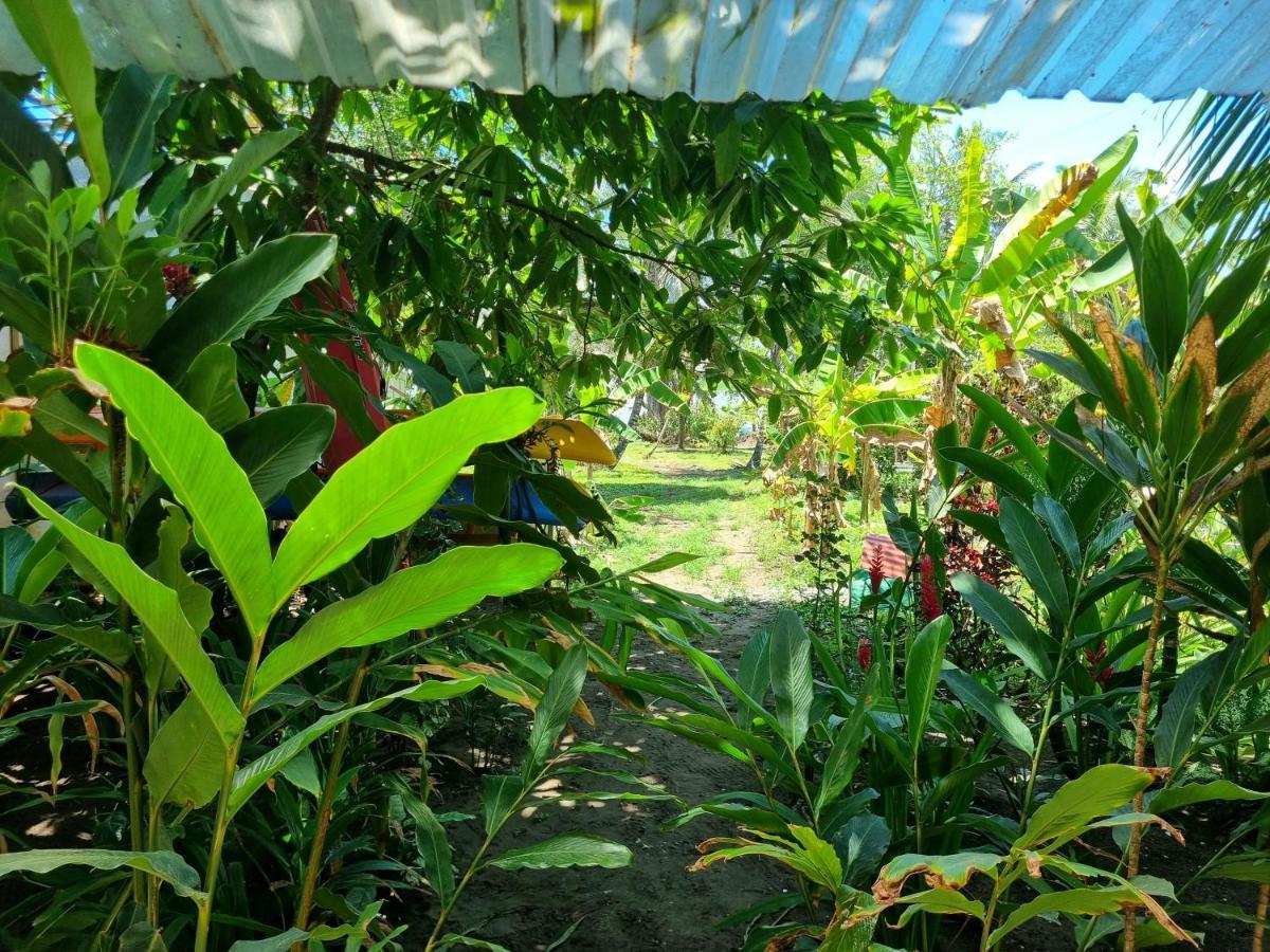 Hotel Wildlife Art House Tortuguero Exterior foto