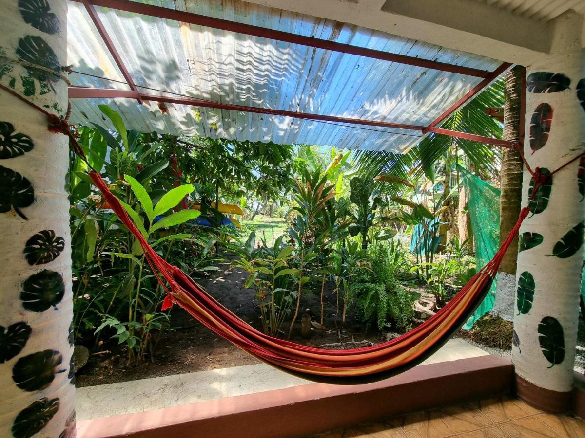 Hotel Wildlife Art House Tortuguero Exterior foto