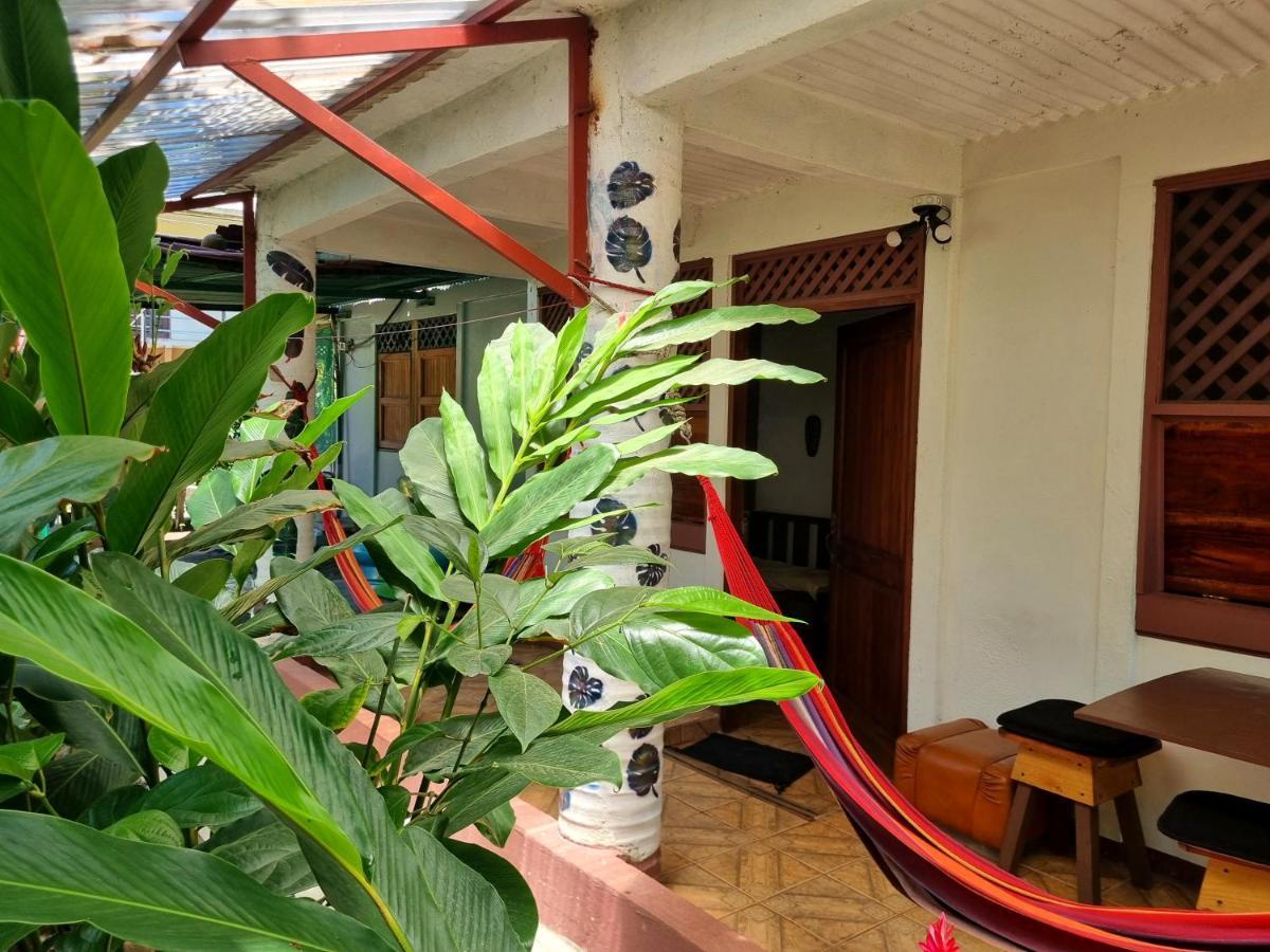 Hotel Wildlife Art House Tortuguero Exterior foto