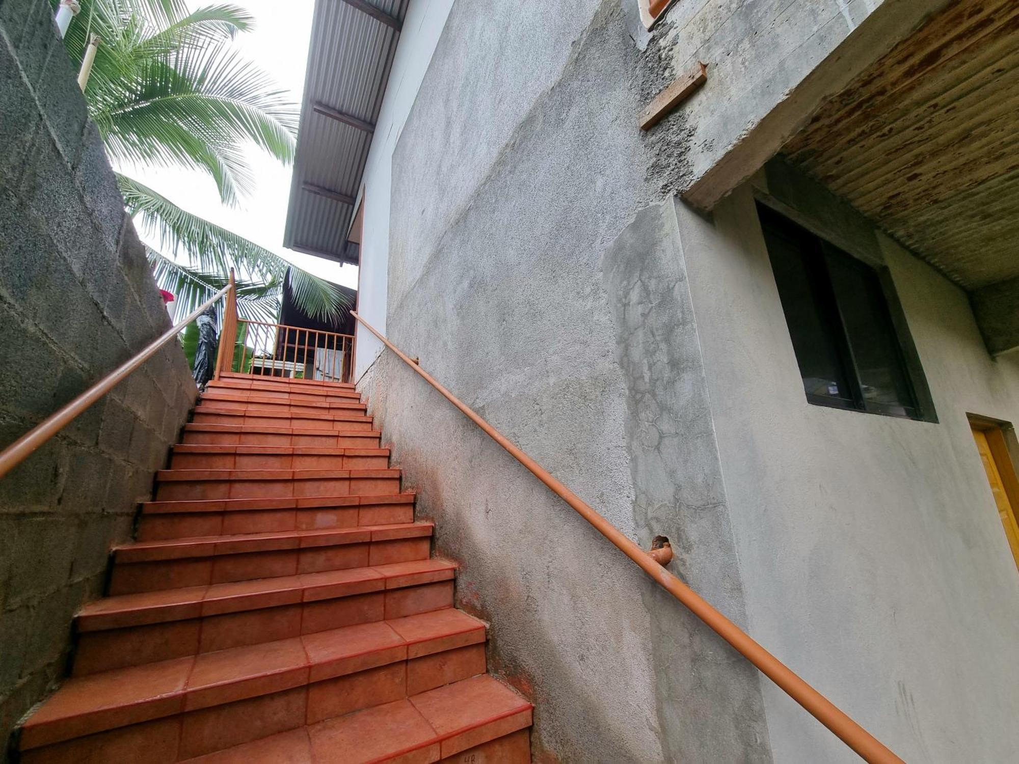 Hotel Wildlife Art House Tortuguero Exterior foto