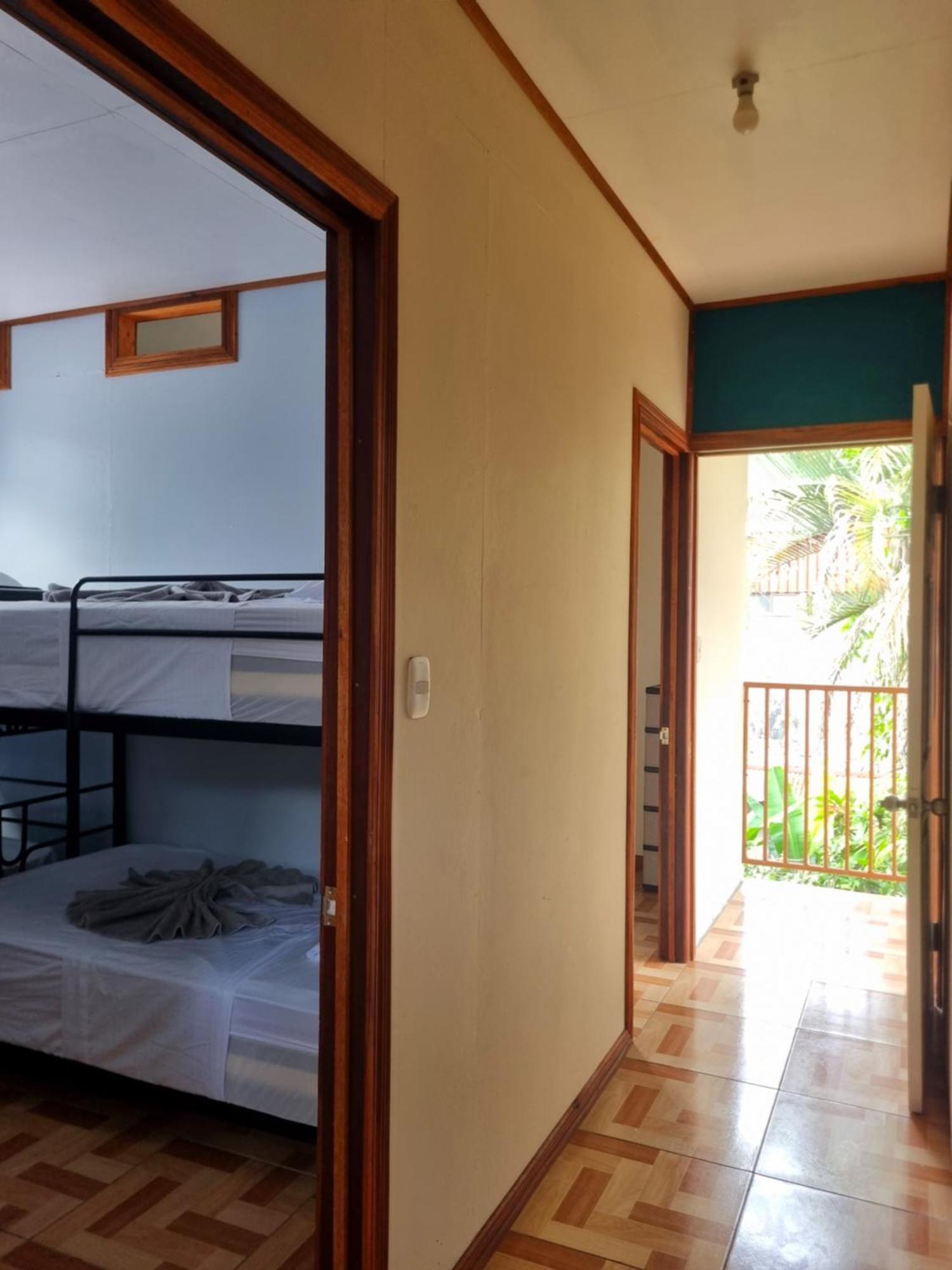 Hotel Wildlife Art House Tortuguero Exterior foto