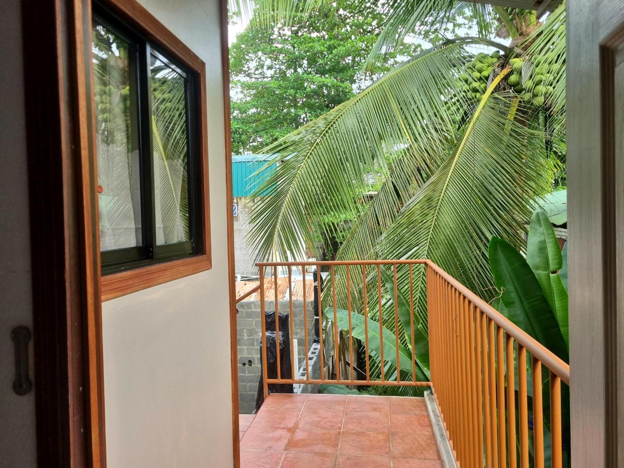 Hotel Wildlife Art House Tortuguero Exterior foto