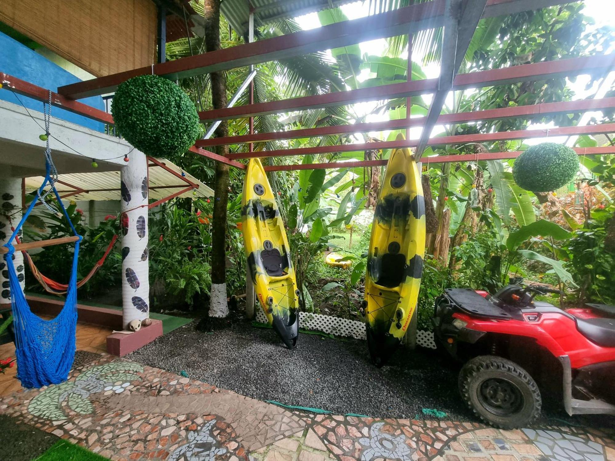 Hotel Wildlife Art House Tortuguero Exterior foto