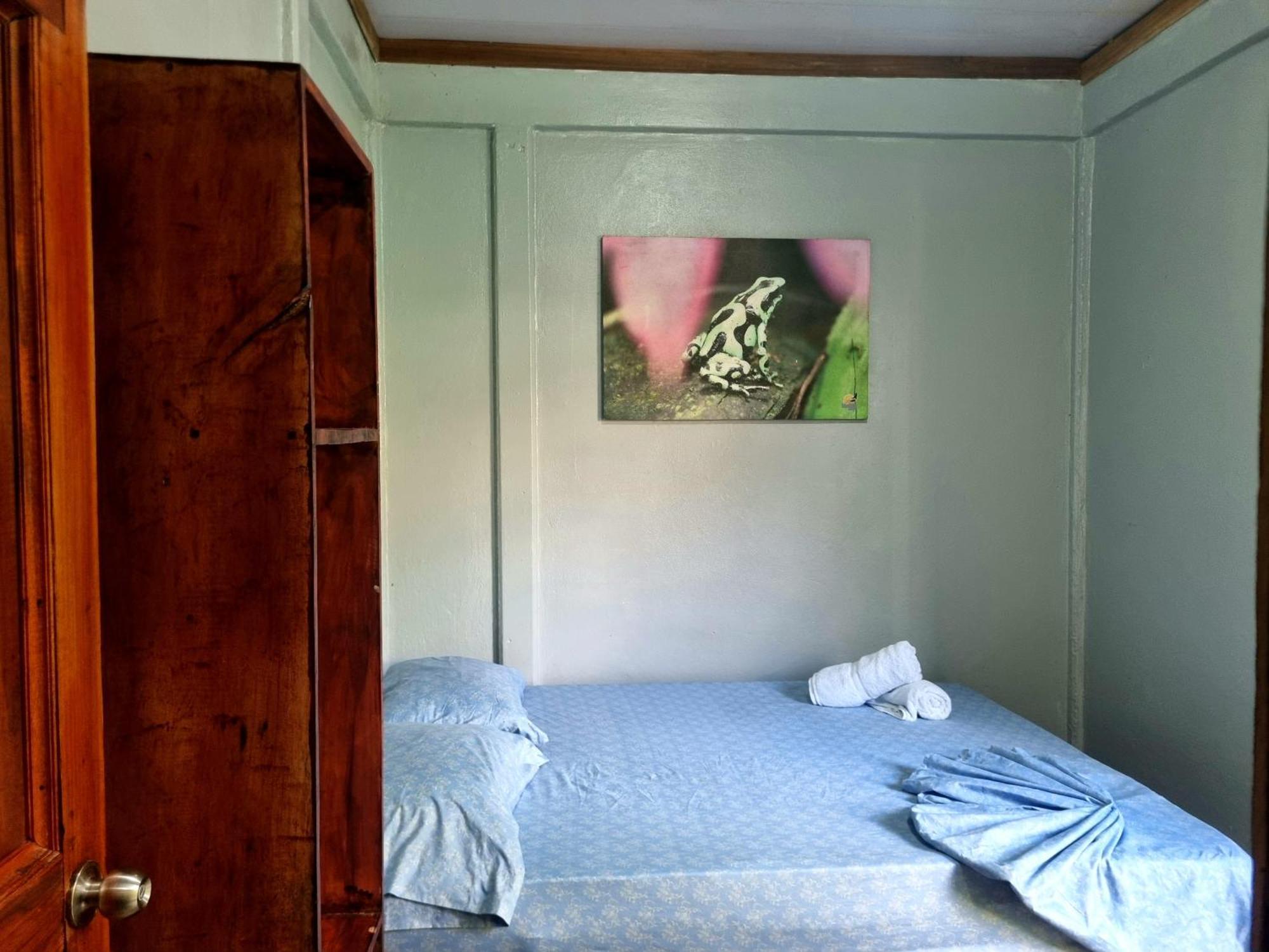 Hotel Wildlife Art House Tortuguero Exterior foto