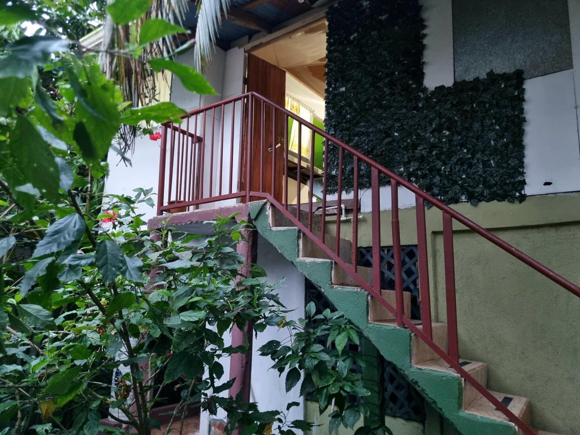 Hotel Wildlife Art House Tortuguero Exterior foto