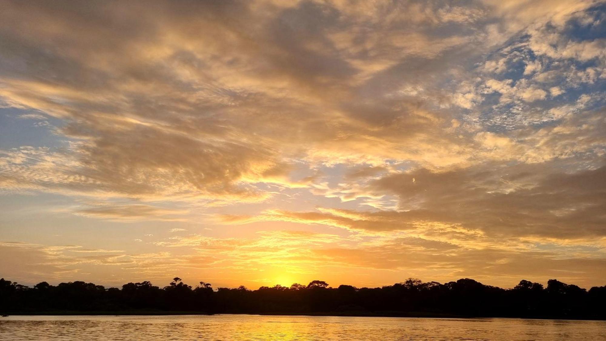 Hotel Wildlife Art House Tortuguero Exterior foto