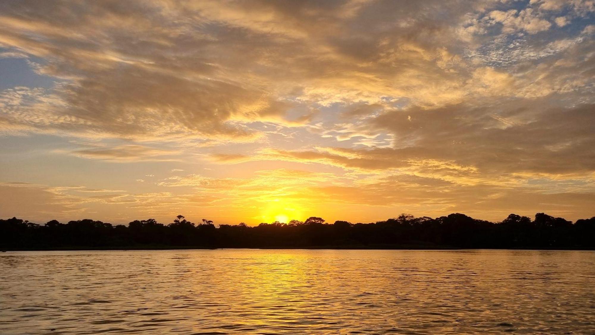 Hotel Wildlife Art House Tortuguero Exterior foto