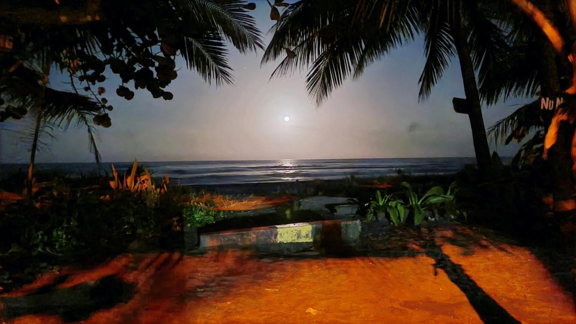 Hotel Wildlife Art House Tortuguero Exterior foto