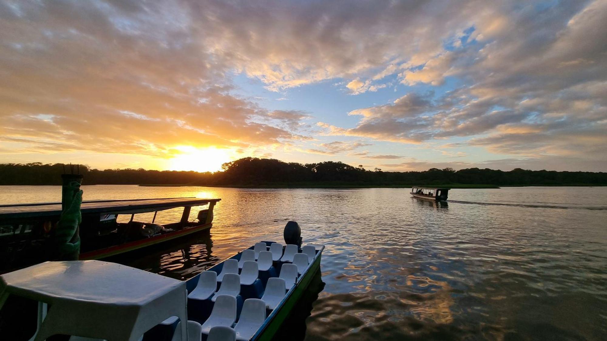 Hotel Wildlife Art House Tortuguero Exterior foto