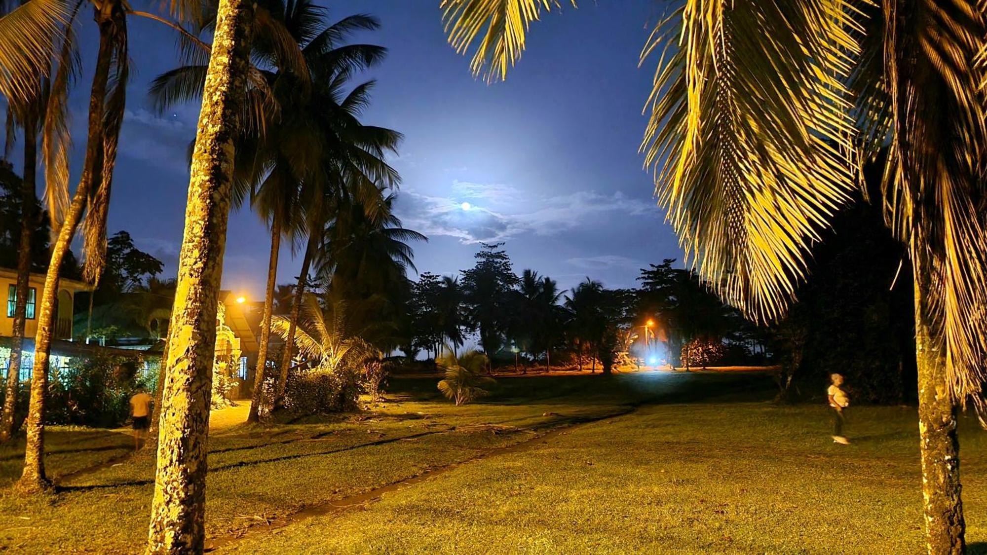 Hotel Wildlife Art House Tortuguero Exterior foto